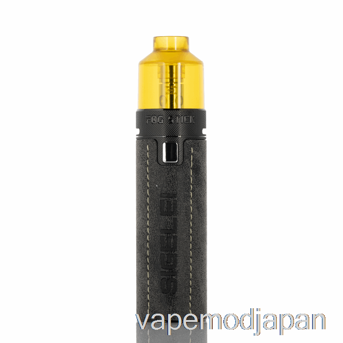 VAPE MOD SIGELEI フォグスティック 80W スターターキット グレー
